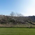 In With Views Apartment