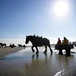 In With Views * Nieuwpoort