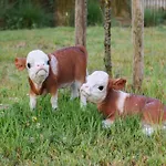 In With Views Nieuwpoort