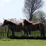 In With Views Apartment