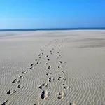 In With Views Apartment Nieuwpoort