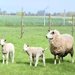 In With Views * Nieuwpoort