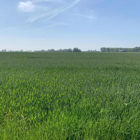Lejlighed In With Views Nieuwpoort